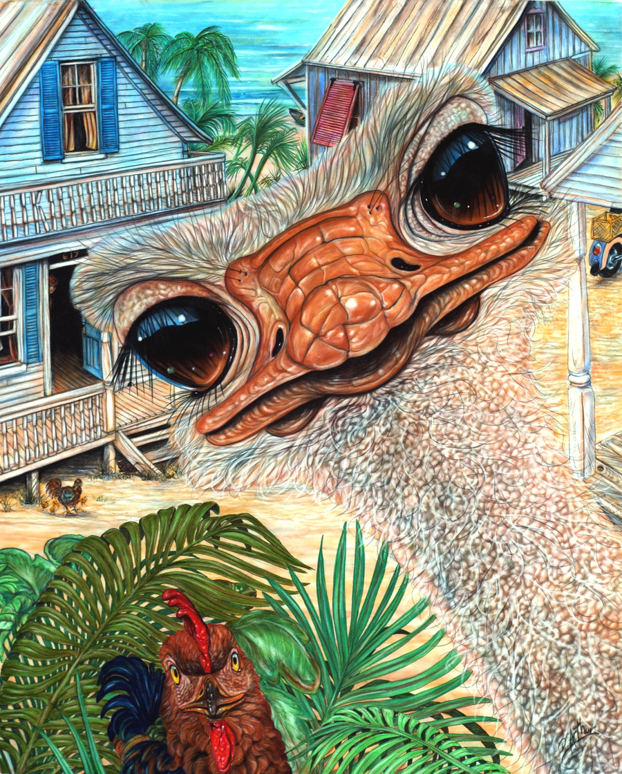 Cock of the Walk D. Arthur Wilson